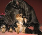 IMG_0445.JPG