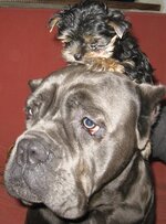 IMG_0473.JPG