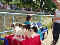 P1010006.webp