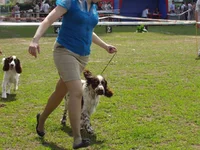 P1010014.webp