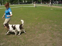 P1010009.webp