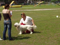 P1010020.webp