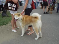 P1010022.webp