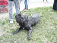 P1010024.webp