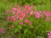DSC00173.webp