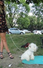 DSC01109.JPG