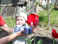 DSCN1105q.webp