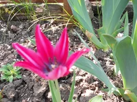DSCN1121q.webp