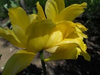 DSCN1148q.webp
