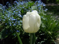 DSCN1156q.webp