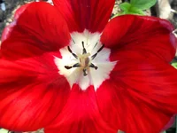 DSCN1170q.webp