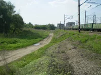 P4061285.webp
