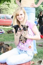208.webp