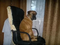 2012-05-10-294.jpg