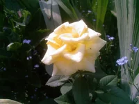 Photo-0254.webp