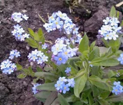 .webp