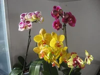 IMG_0552.webp
