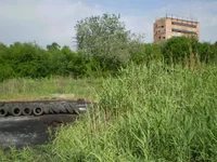 P4081295.webp