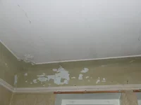 DSCF3862.webp