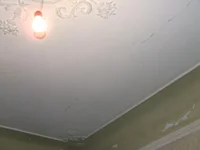 DSCF3864.webp