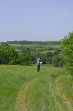 IMGP3072.jpg