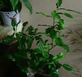 DSC02551.webp