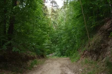 IMGP3224.jpg