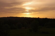 IMGP3240.jpg