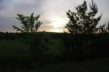 IMGP3242.webp