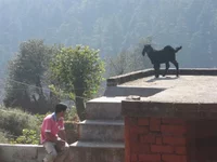 IMG_1012 (Small).webp