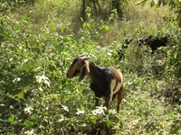 IMG_1386 (Small).webp