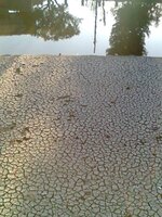Фото0649.jpg