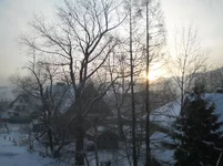 P2100009.webp
