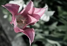 DSC00112.webp