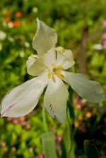 DSC00126-2.webp
