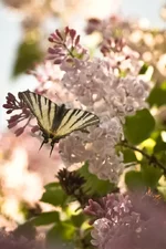 DSC00058.webp