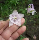  4.webp