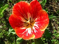  125.webp