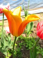 IMG_9762.webp