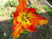 IMG_9764.webp