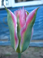 IMG_9745.webp