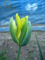 IMG_9743.webp