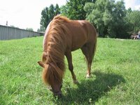IMG_2313.JPG