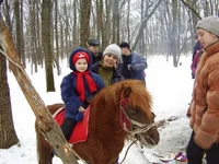 1P2250279.webp