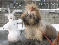  день снеговичка.webp