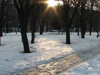  лучи и снег.webp