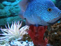 P3120007.webp
