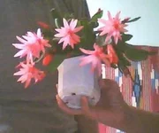 _1.webp
