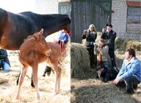 вот-вам-веб.jpg