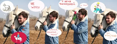 .webp